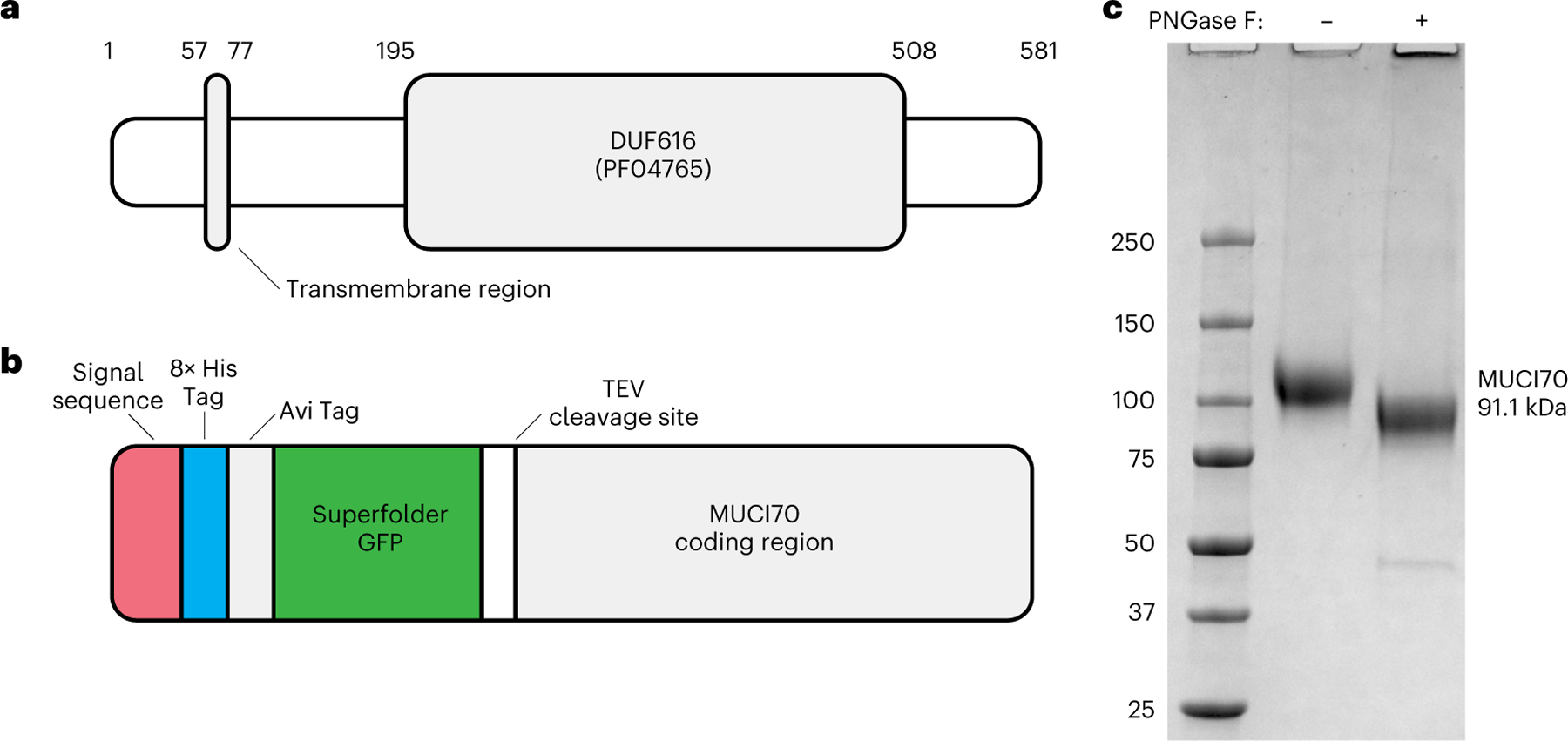 Fig. 2 |