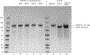 Extended Data Fig. 8 |
