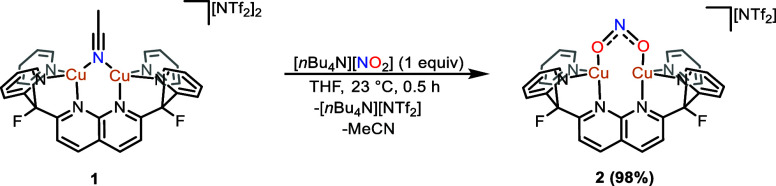 Scheme 2