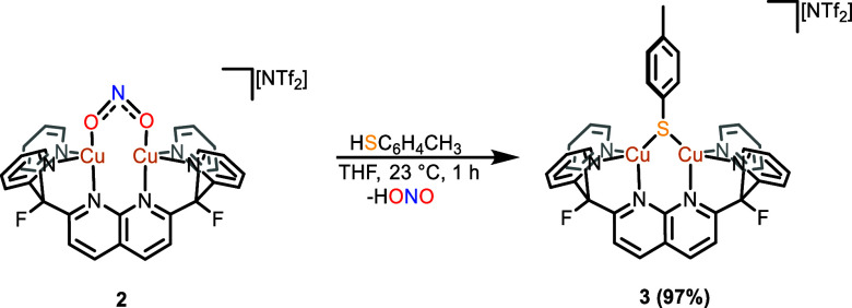 Scheme 3