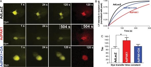 Figure 6