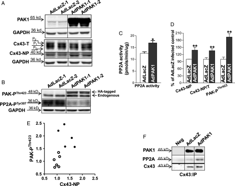 Figure 5