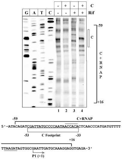 Figure 6