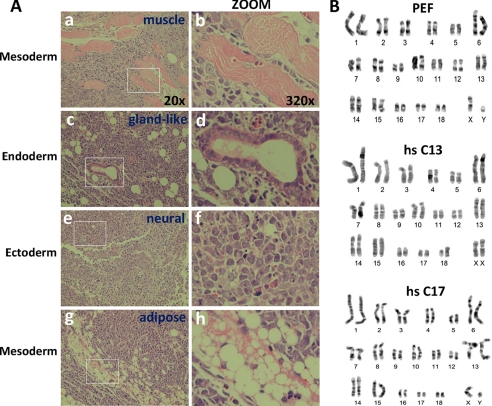 FIGURE 4.