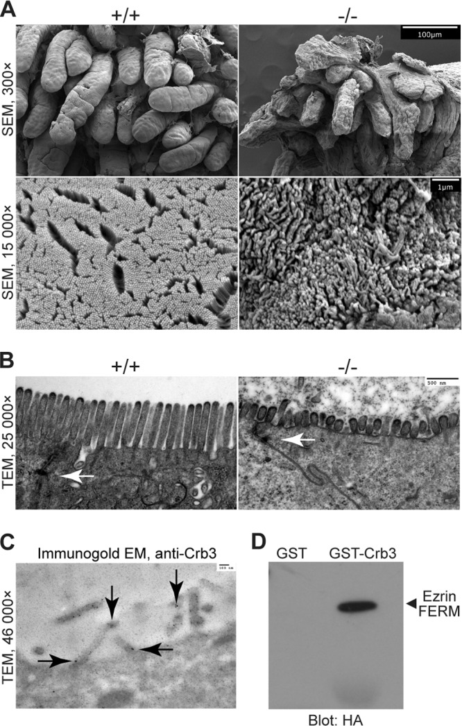 FIG 10