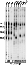 FIG. 5