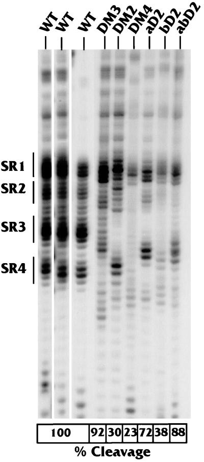 FIG. 5