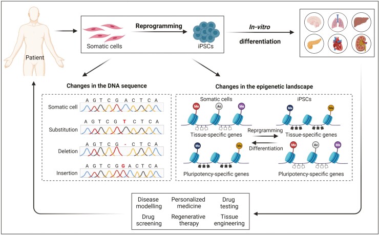 Graphical Abstract