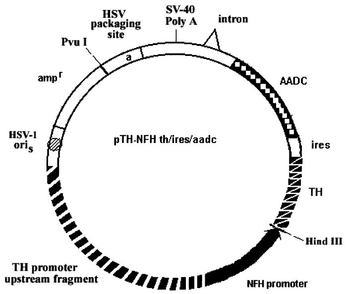 FIG. 1