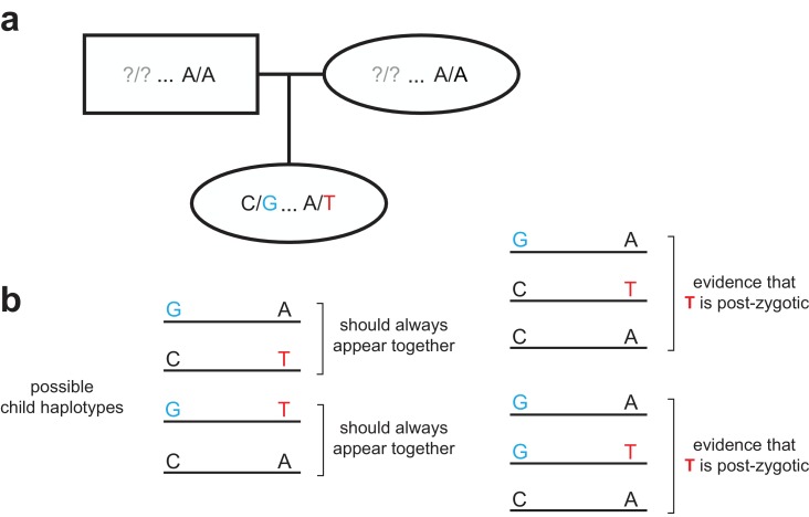 Figure 5—figure supplement 1.