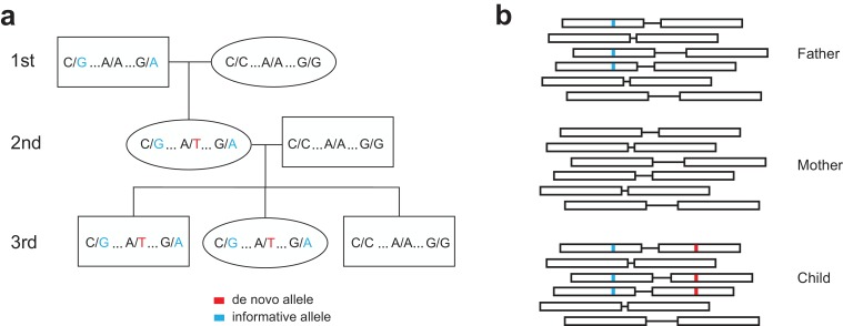 Figure 1—figure supplement 2.