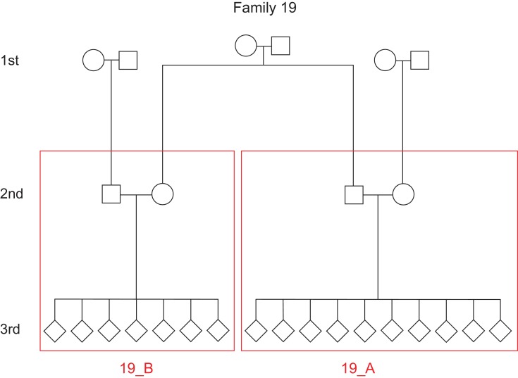 Figure 3—figure supplement 1.