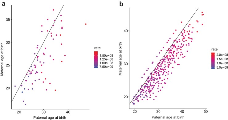 Figure 2—figure supplement 1.