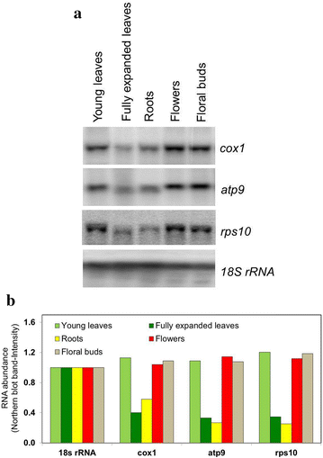 Fig. 3