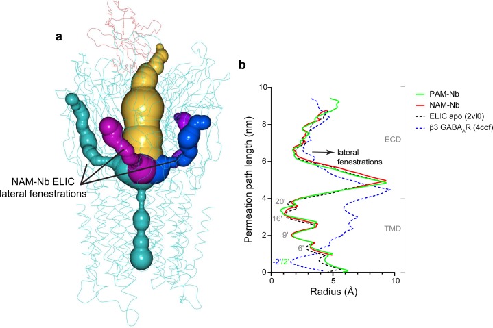 Figure 2—figure supplement 3.