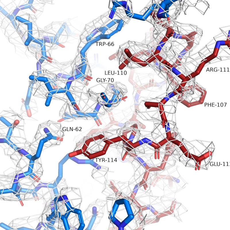 Figure 1—figure supplement 3.