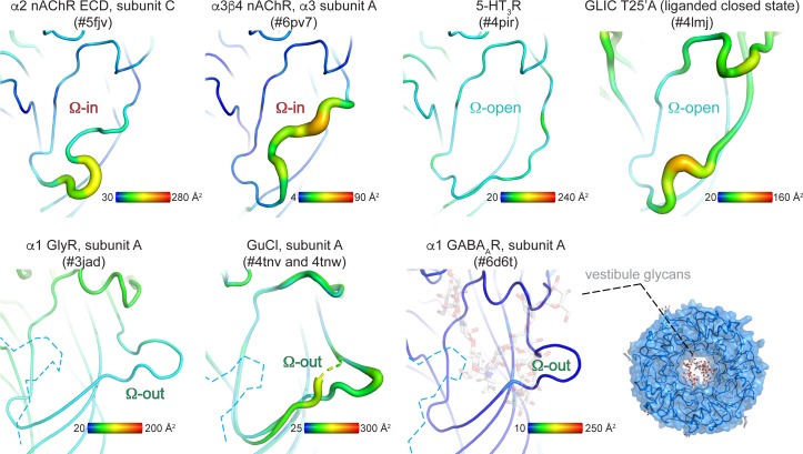 Figure 3—figure supplement 1.