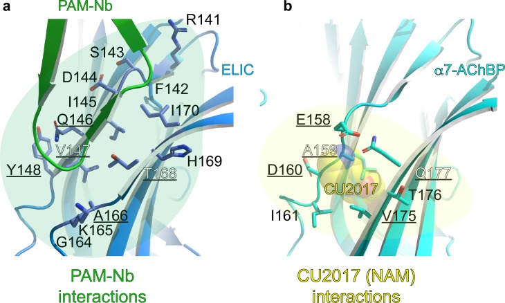 Figure 2—figure supplement 1.