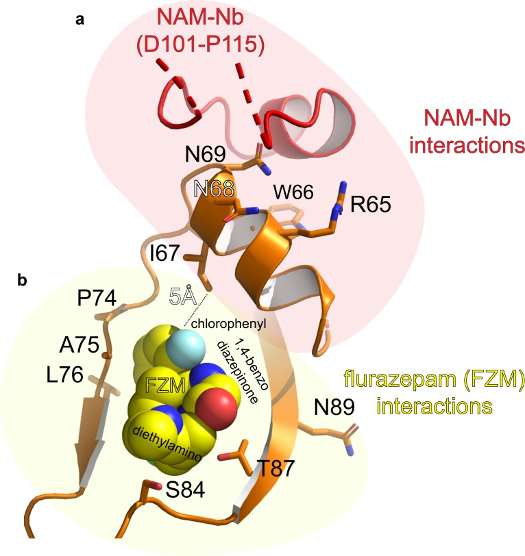 Figure 2—figure supplement 2.