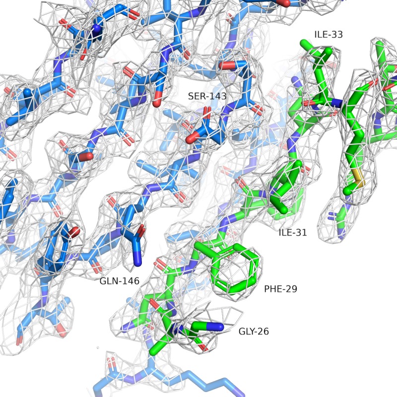 Figure 1—figure supplement 2.