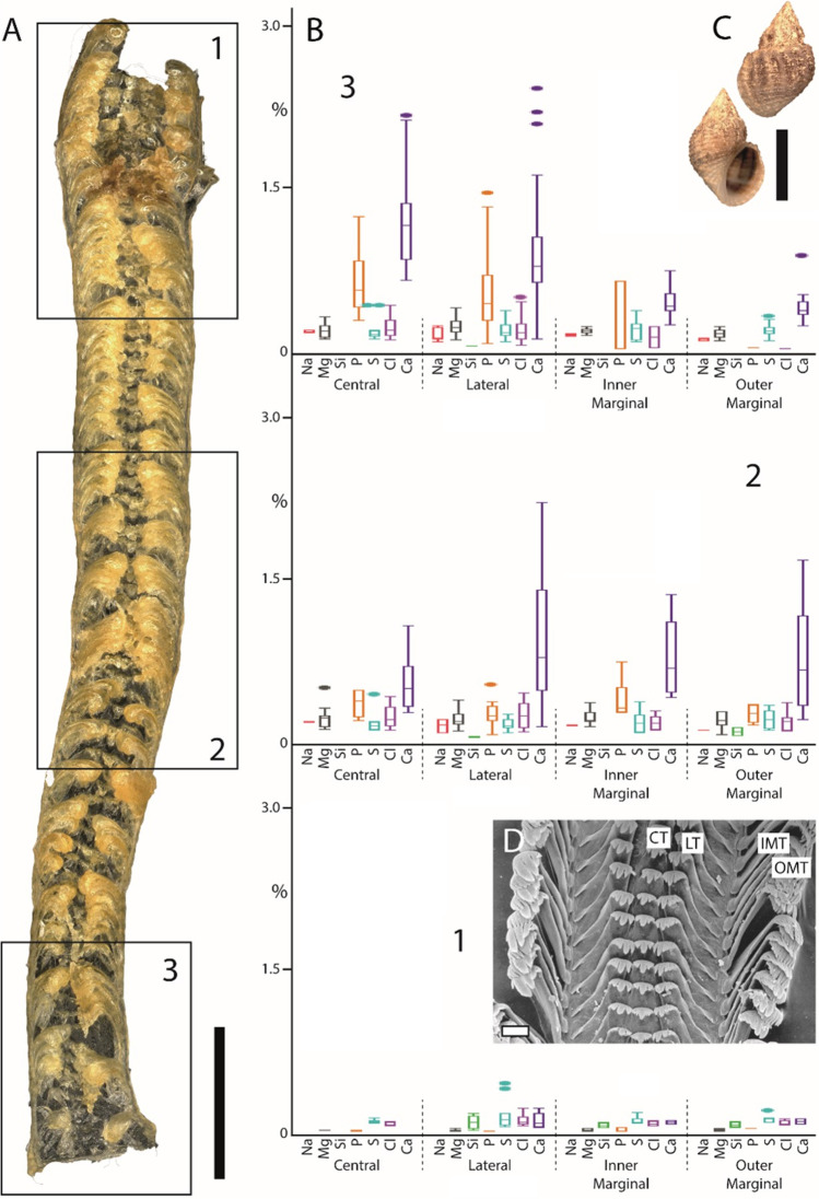 Fig. 4