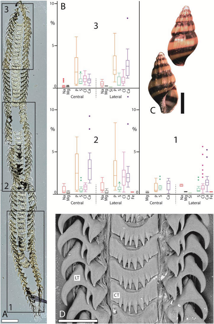 Fig. 2