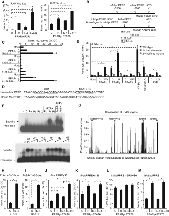 Figure 5