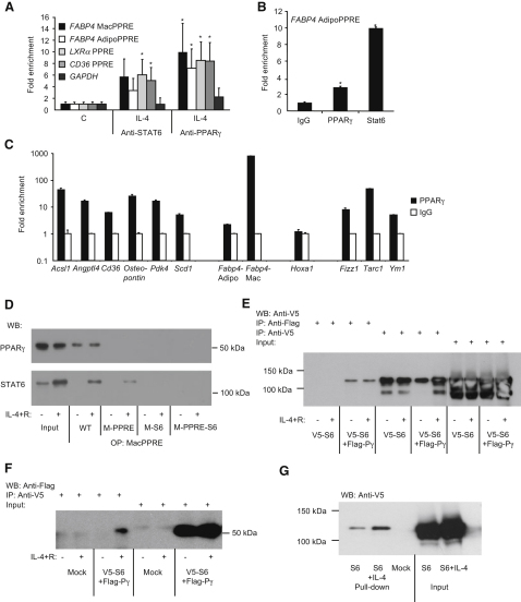 Figure 6