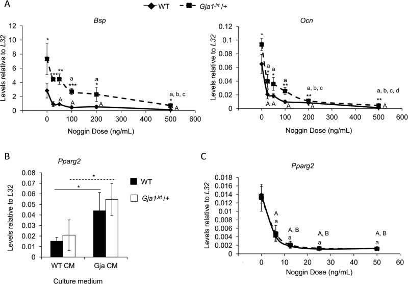 FIGURE 5: