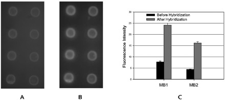 Figure 5.