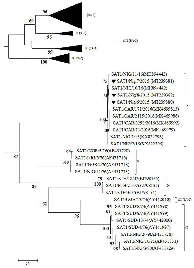 Figure 4