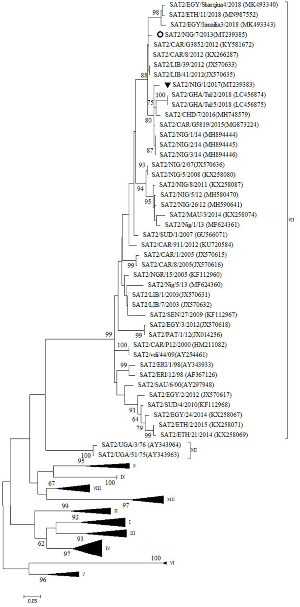 Figure 5