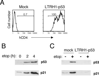 Fig 4.