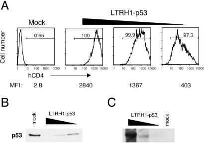 Fig 3.