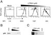 Fig 3.