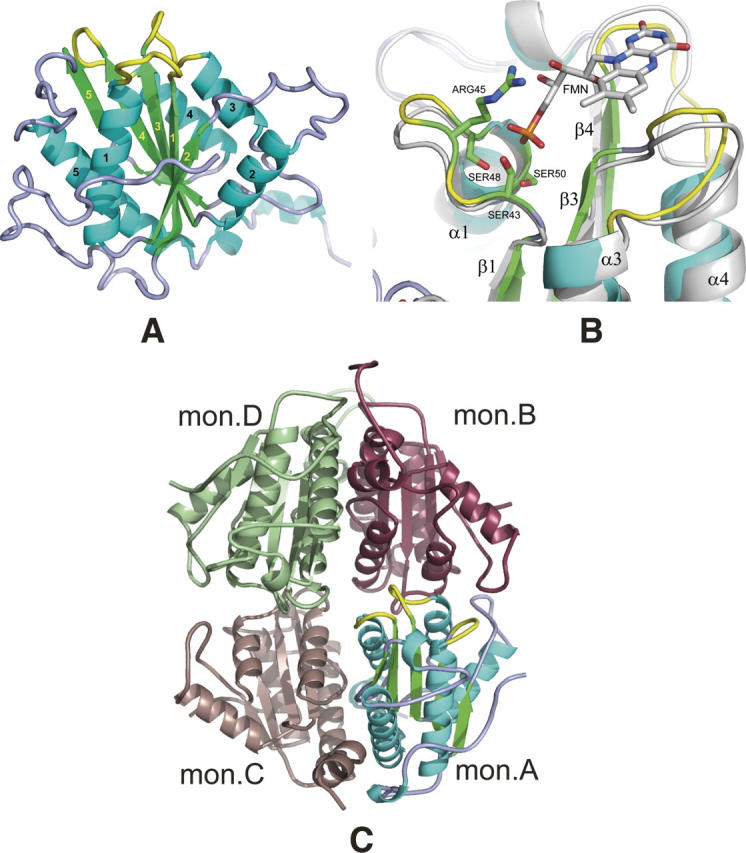 Figure 2.