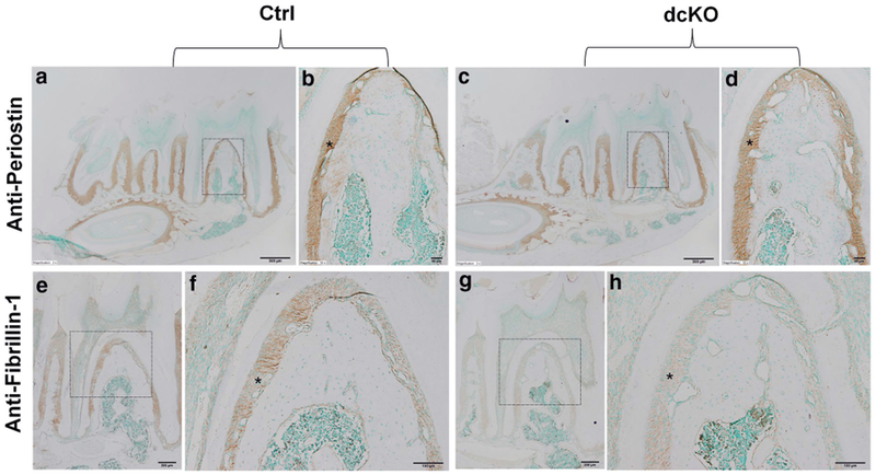 Fig. 12