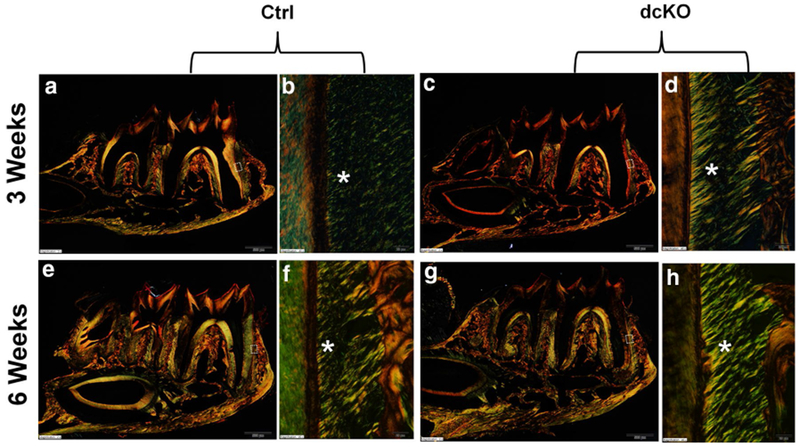 Fig. 11