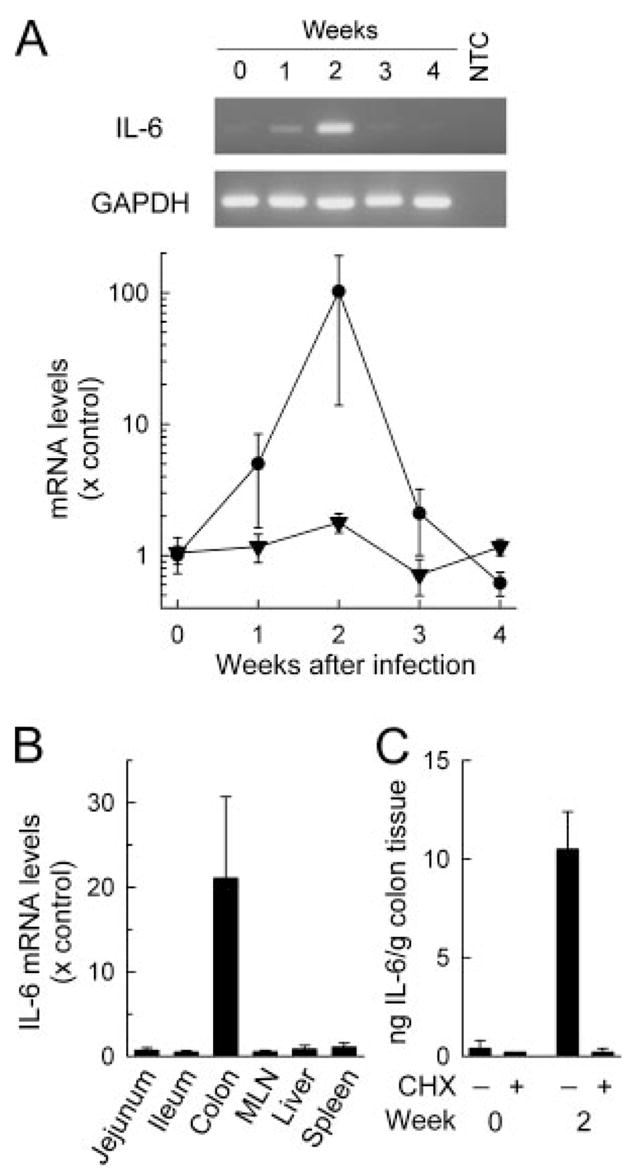 FIGURE 1