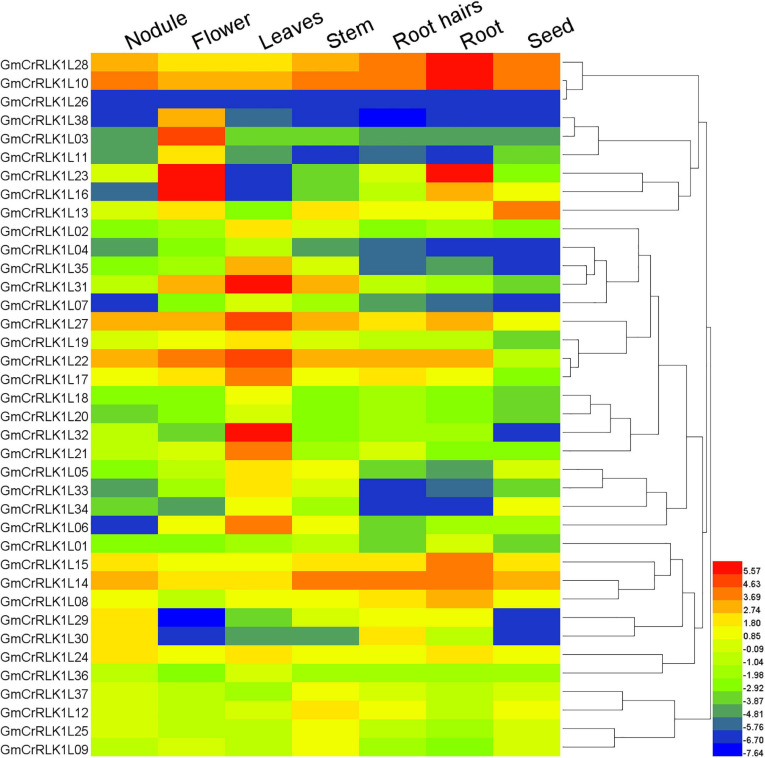 FIGURE 4