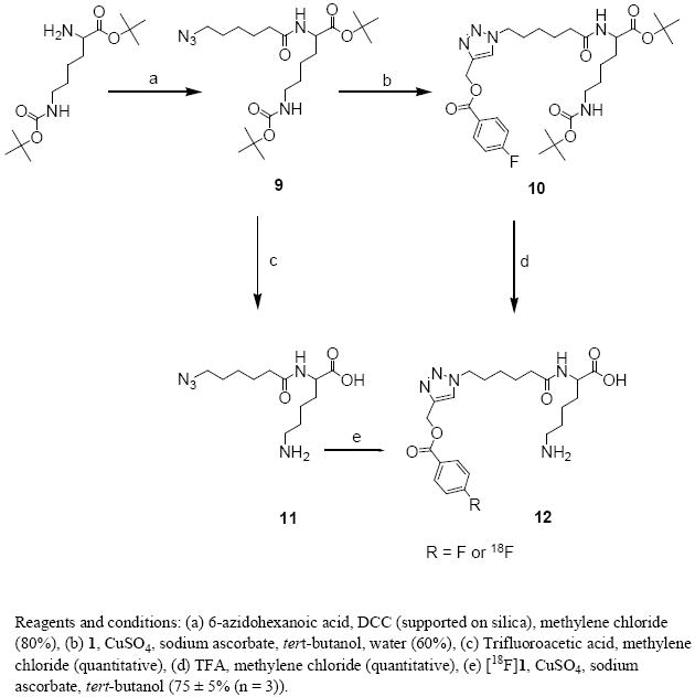 Scheme 4