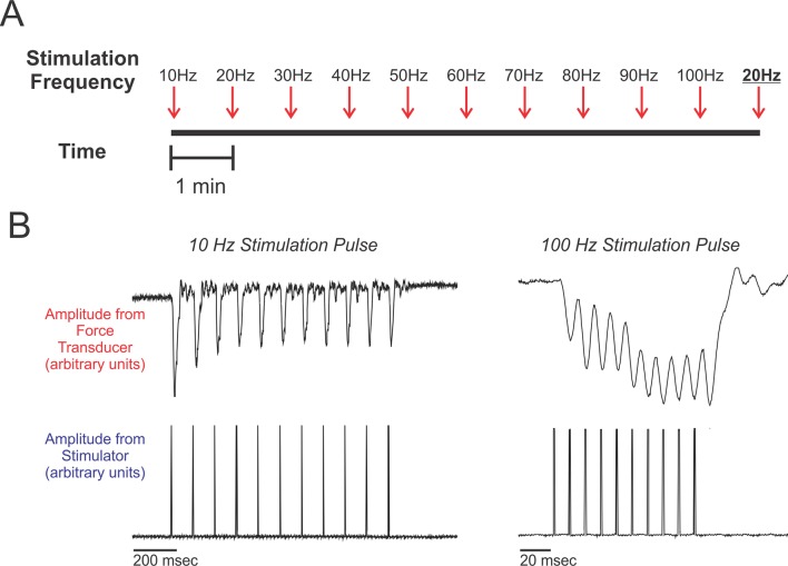 Figure 2.