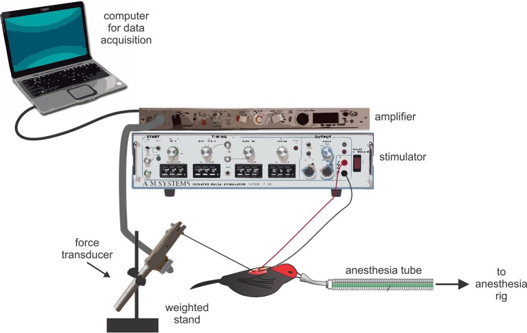 Figure 4.