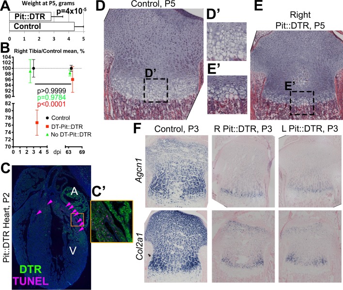 Figure 2—figure supplement 1.