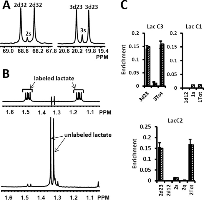 FIGURE 7.