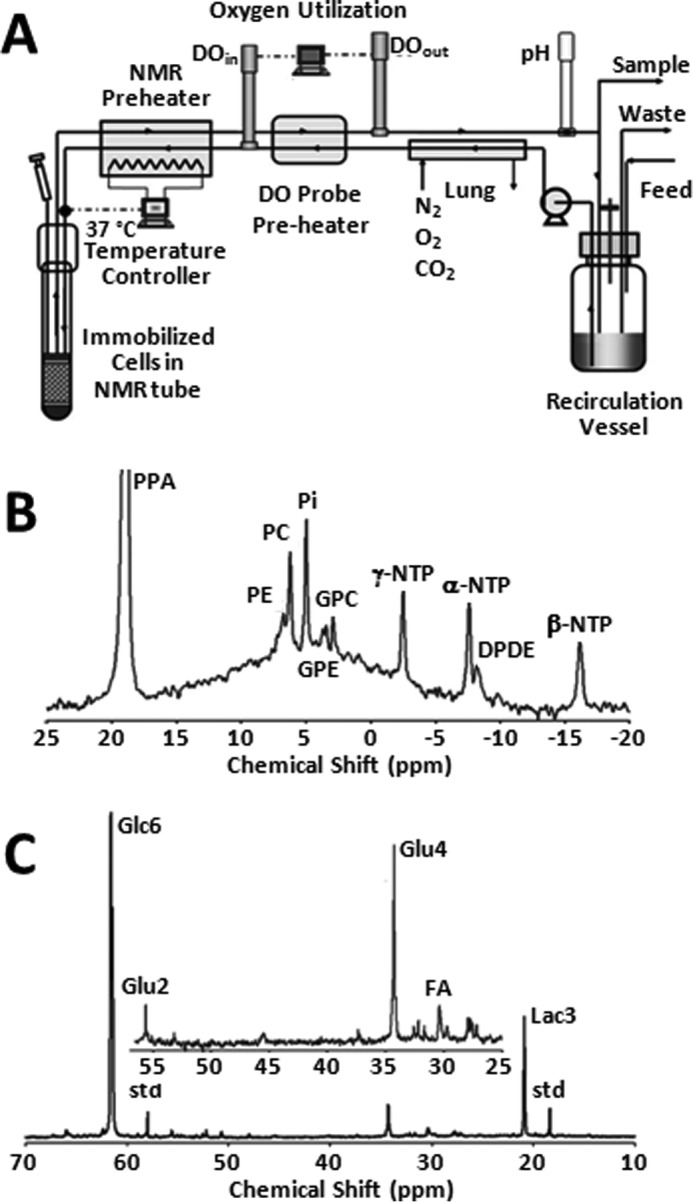 FIGURE 1.