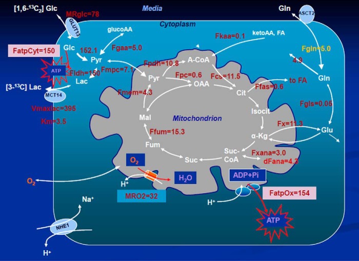 FIGURE 5.