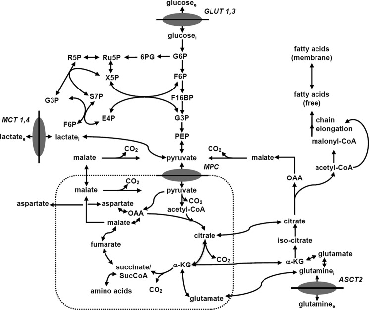 FIGURE 2.