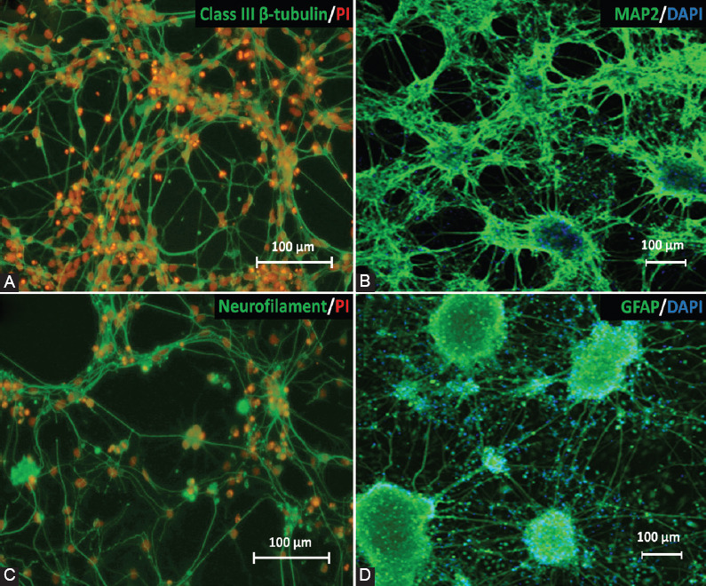 FIGURE 3