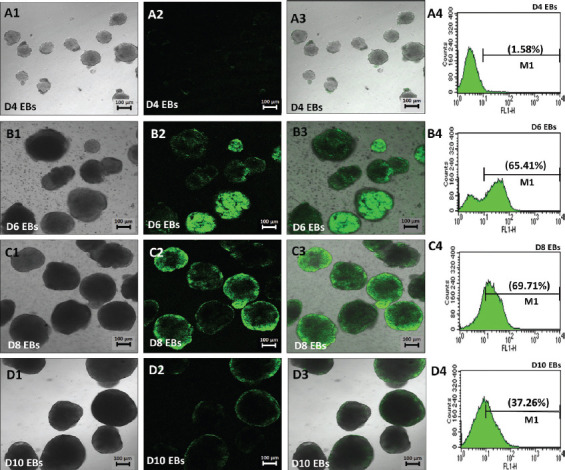 FIGURE 2